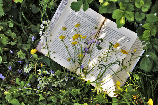 Reading Is the New Superpower
